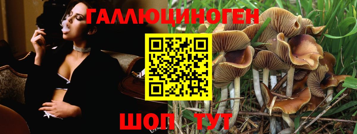 Псилоцибиновые грибы мухоморы Коммунар