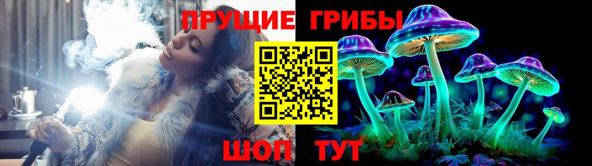 Коммунар  Галлюциногенные грибы Cubensis  Вход с VPN 